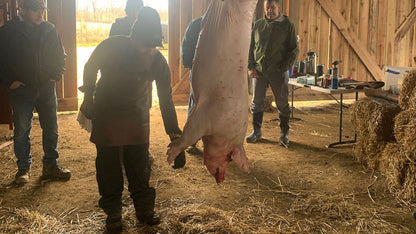 Whole Hog Butchery & Charcuterie Workshop in Kentucky