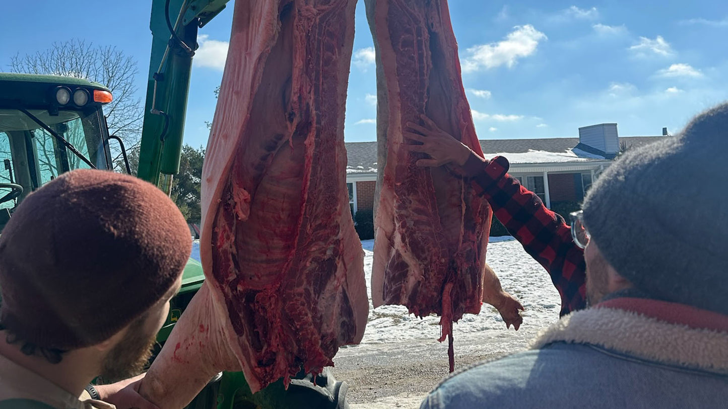 Whole Hog Butchery & Charcuterie Workshop in Kentucky